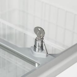 VITRINA HELADOS TEFCOLD IC202SC-SO